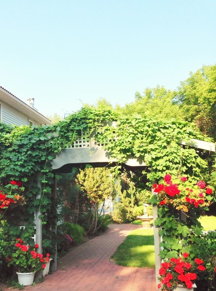 Mcdougall Lane Bed & Breakfast Drumheller Buitenkant foto